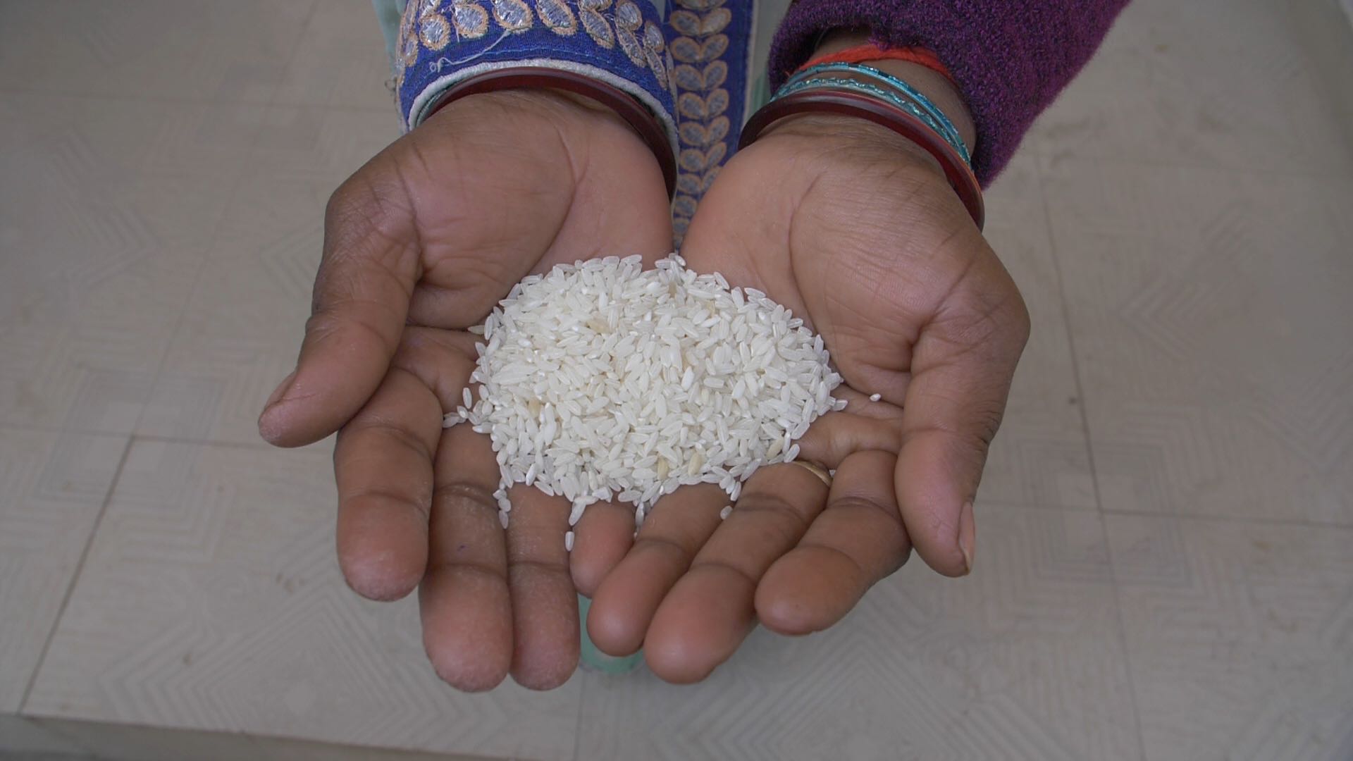 world food programme india